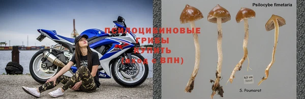 spice Алексеевка