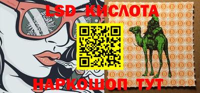 гашик Малоярославец