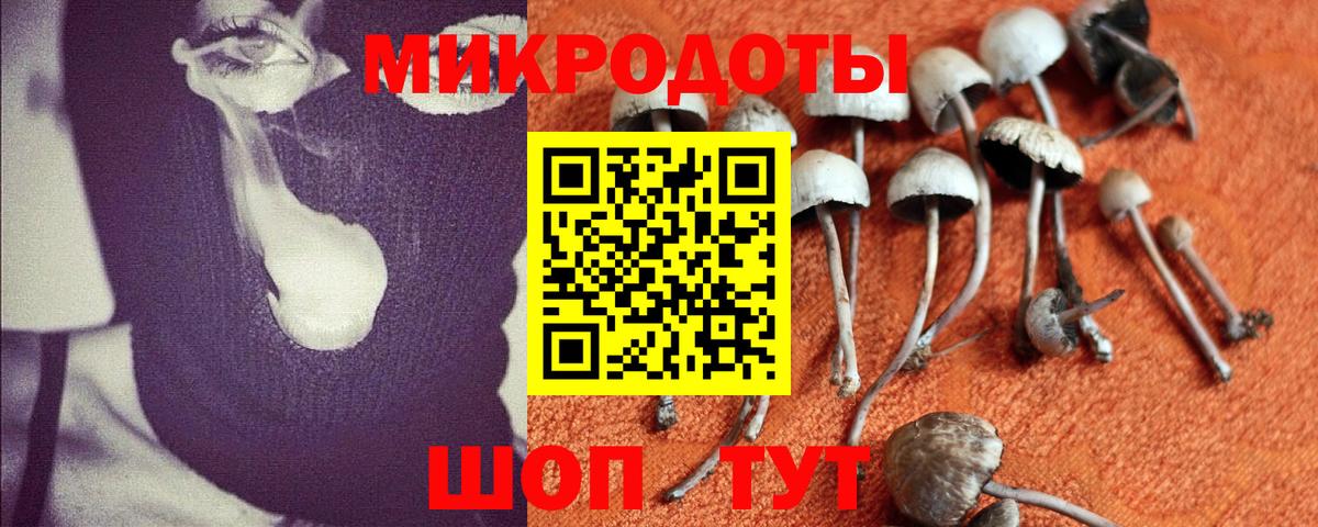 Псилоцибиновые грибы Psilocybine cubensis  Вход с VPN  Еманжелинск 